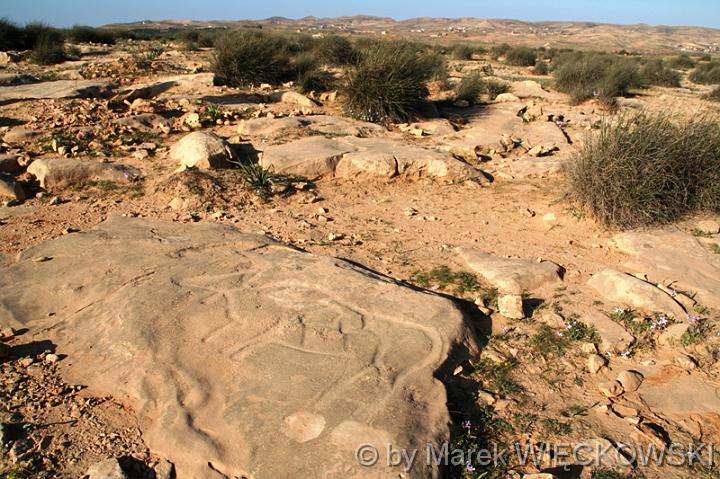 libya_jebel 060